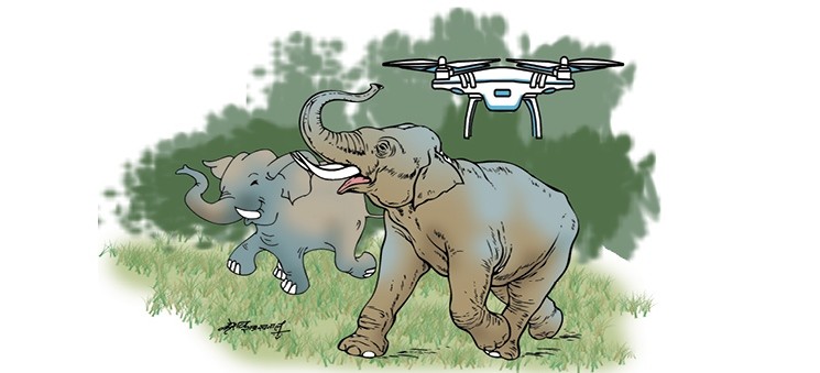 student-makes-siren-drone-to-chase-away-tuskers